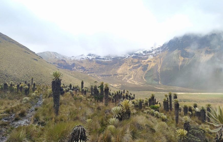Expedición al Paramillo del Quindío
