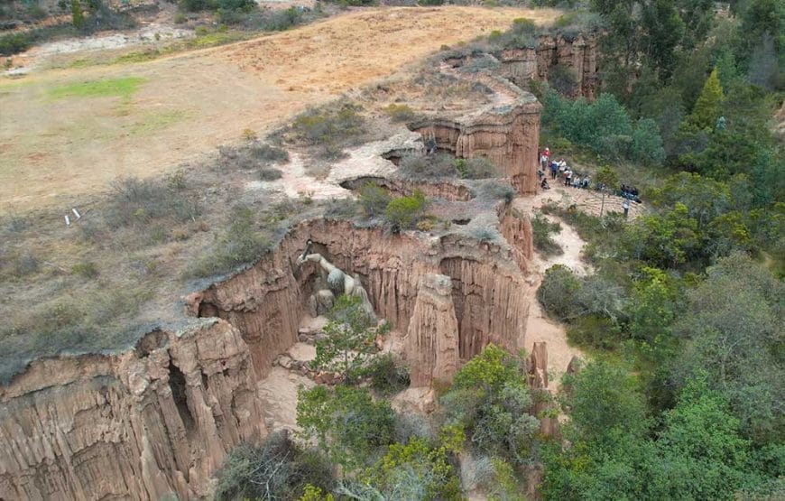 Retiro de Sanación Ancestral en el Desierto de Checua: Música Medicina, Plantas Sagradas y Laberinto de Sanación