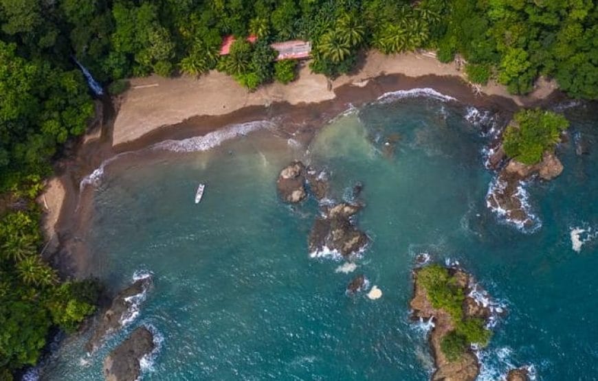 Avistamiento de Ballenas en Bahía Solano