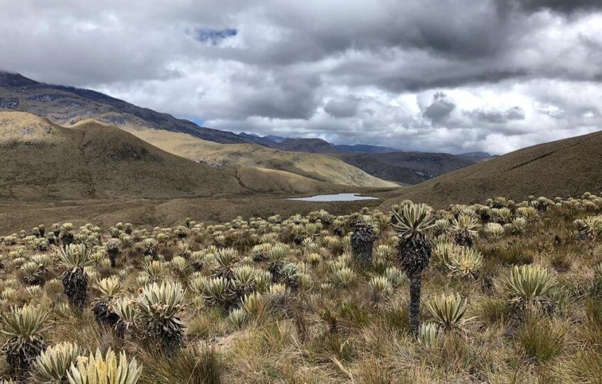 Expedición al Nevado del Tolima – Ruta Ibagué