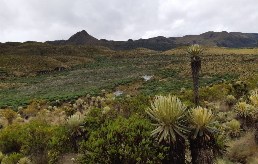 Expedición al Nevado del Tolima – Ruta Ibagué