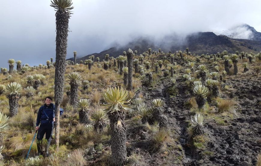 Expedición al Nevado del Tolima – Ruta Ibagué