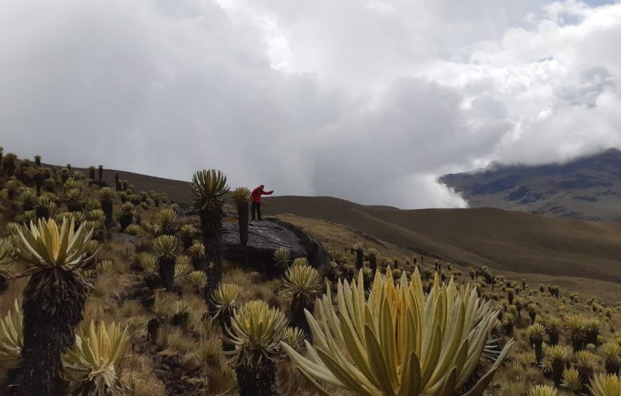 Expedición al Nevado del Tolima – Ruta Ibagué