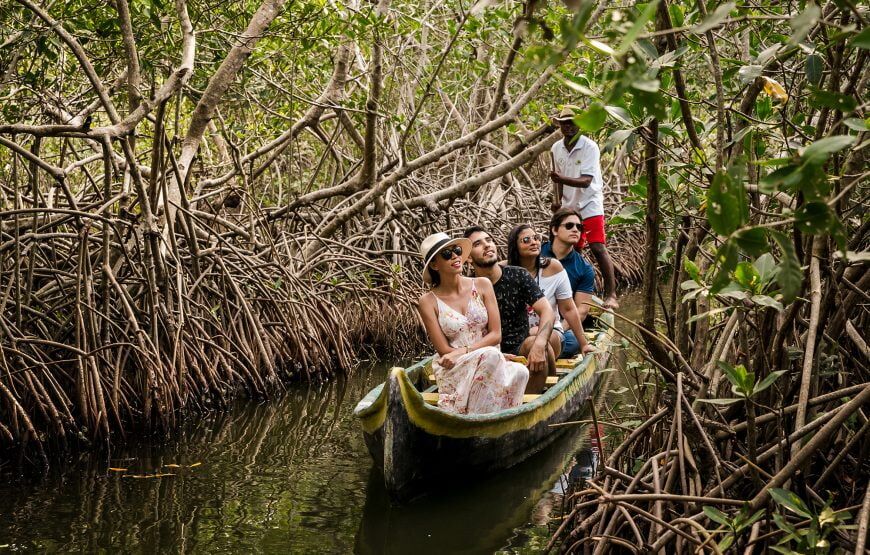 Tour y práctica de pesca en los Manglares, Cartagena (5 razones)