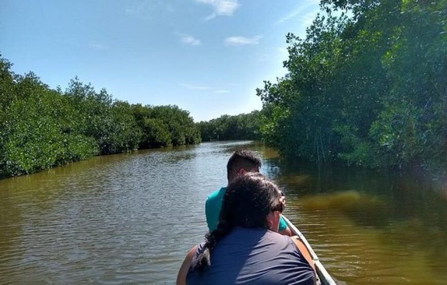 Tour y práctica de pesca en los Manglares, Cartagena (5 razones)