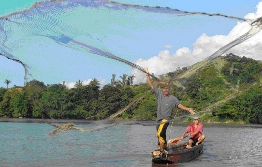 Tour y práctica de pesca en los Manglares, Cartagena (5 razones)