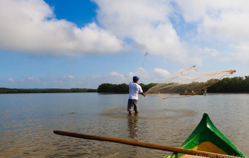 Tour y práctica de pesca en los Manglares, Cartagena (5 razones)