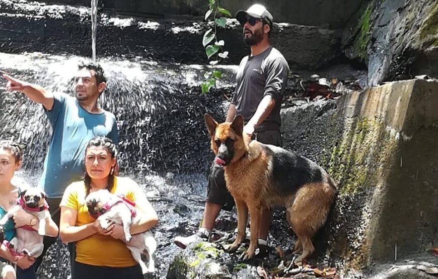 Sasaima, un día de aventura con tu mascota