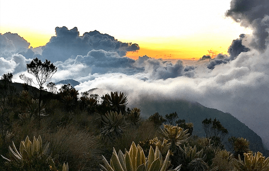Expedición al Nevado del Huila Ruta Sur
