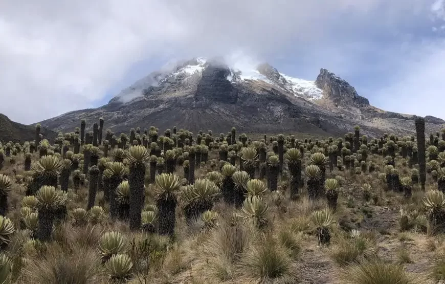 Expedición al Nevado del Tolima – Ruta Salento