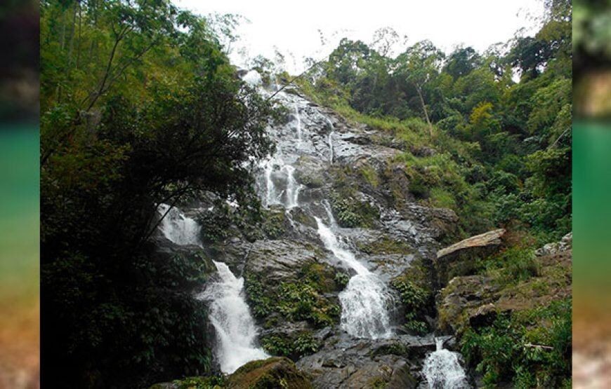 Ruta Mutis y Ciudad perdida de Falan, Tolima