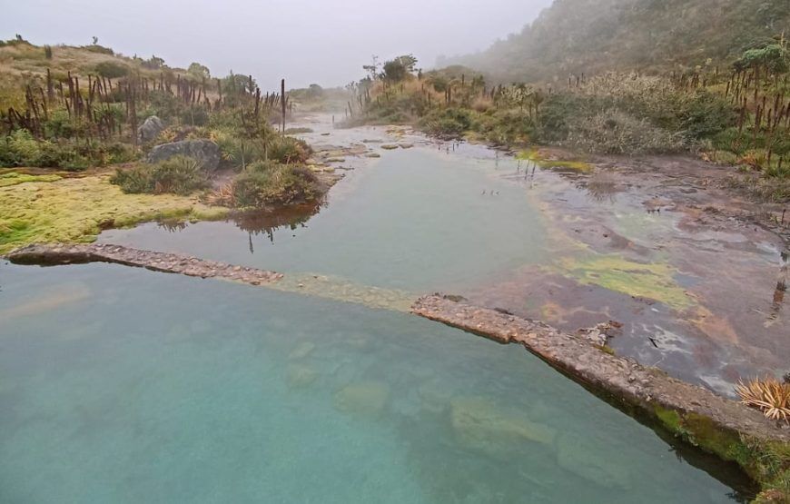 Tour Termales La Cabaña Murillo, Tolima