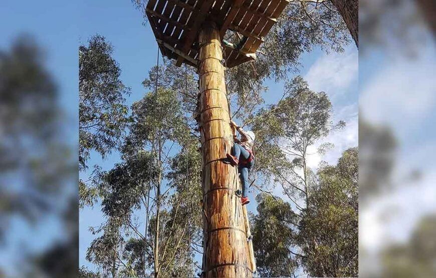 Un día de aventura en Montearroyo