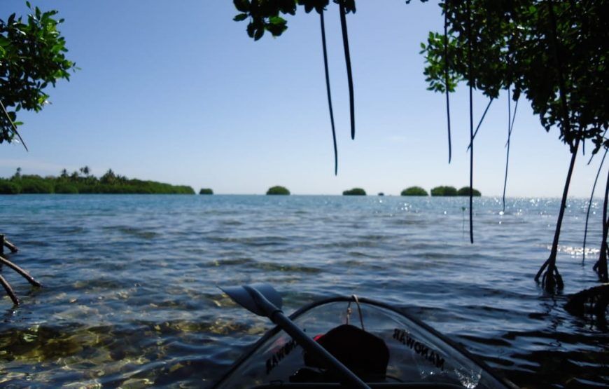 4 días en el Amazonas Colombia