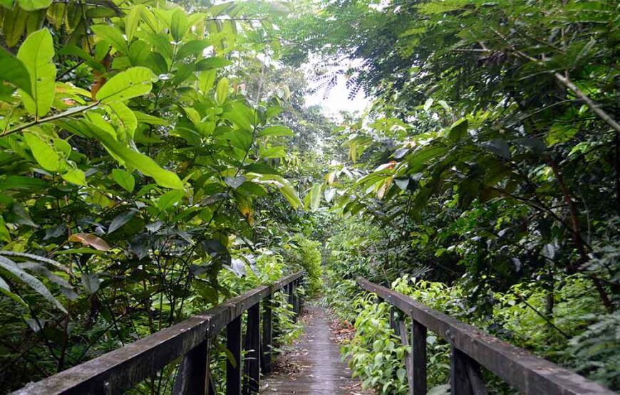 4 días en el Amazonas Colombia