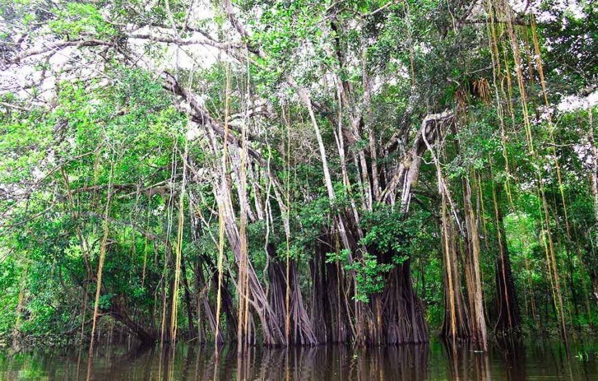 4 días en el Amazonas Colombia