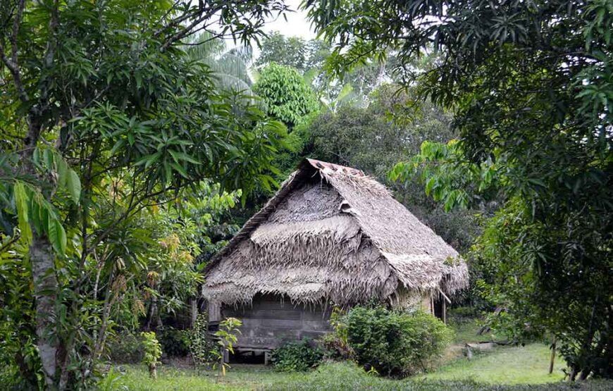 4 días en el Amazonas Colombia