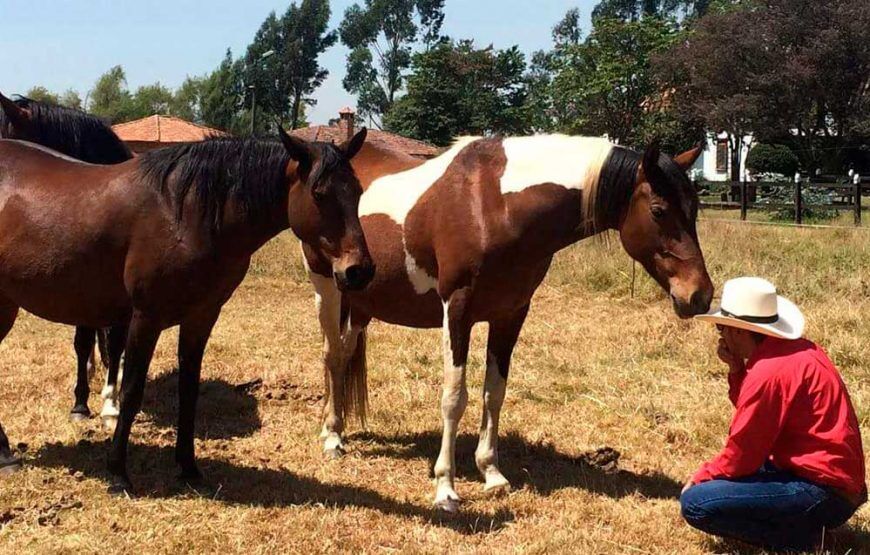 Cabalgatas en Tabio Cundinamarca