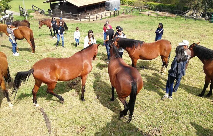 Cabalgatas en Tabio Cundinamarca