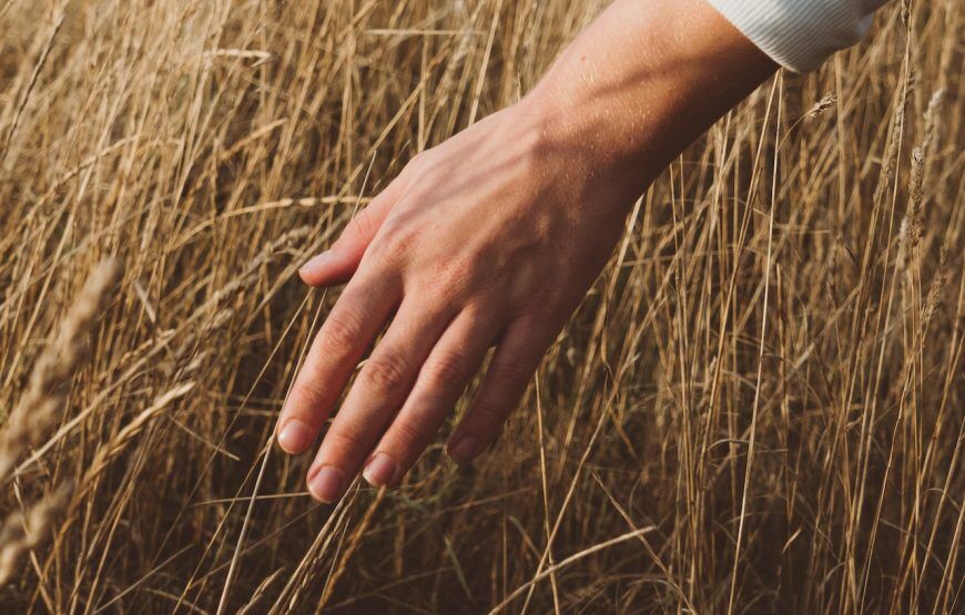 Meditación y Yoga en el desierto de Checua (5 razones para hacerlo)