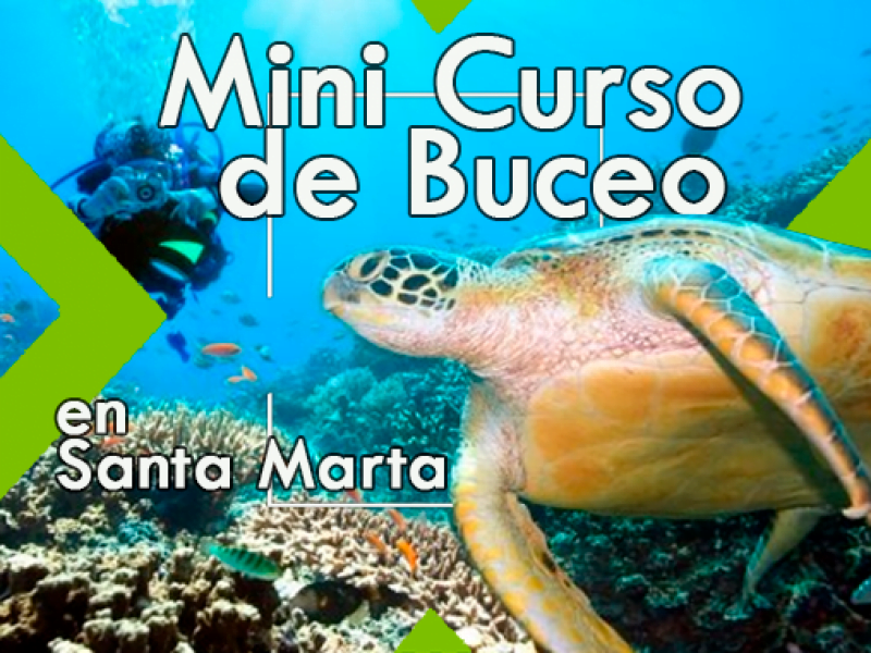 Minicurso de Buceo en Santa Marta
